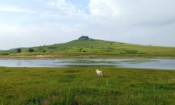 INNERMONGOLIA4.jpg