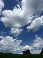 IMG_3310.jpeg