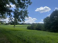 IMG_3309.jpeg