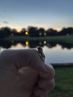 IMG_0147.jpeg