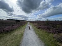 IMG_1928.jpeg