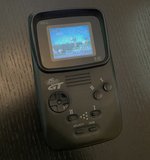 IMG_2432.jpeg