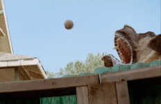 IMG_0116.gif