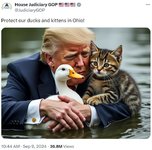 IMG_0229.jpeg