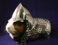 GUINEA-PIG-ARMOR.jpg