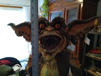 IMG_20240920_170904516.jpg
