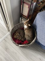 IMG_8822.jpeg