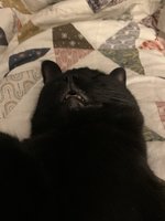 IMG_7588.jpeg