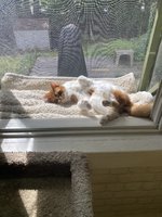IMG_6318.jpeg