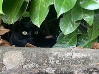 IMG_2987.jpeg