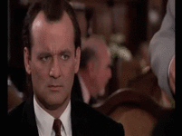 1727337408446.gif