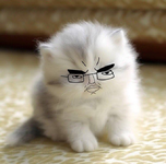 ir cereal kat.png