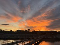 IMG_0555.jpeg