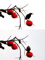 autumn4.jpg