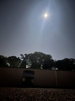 IMG_0606.jpeg
