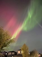 IMG_1564.jpeg