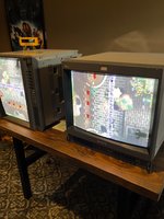 IMG_8884.jpeg