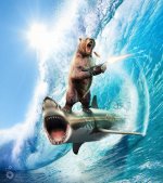 921d080be5f1bc3745a4a993c2556db4-cigar-smoking-tommy-gun-wielding-bear-riding-a-shark-is-probabl.jpg 921d080be5f1bc3745a4a993c2556db4-cigar-smoking-tommy-gun-wielding-bear-riding-a-shark-is-probabl.jpg