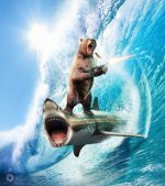 921d080be5f1bc3745a4a993c2556db4-cigar-smoking-tommy-gun-wielding-bear-riding-a-shark-is-probabl.jpg