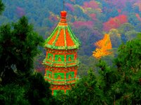 autumn16.jpg
