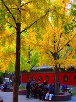 autumn19.jpg
