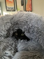IMG_7962.jpeg