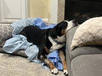IMG_4387.jpeg
