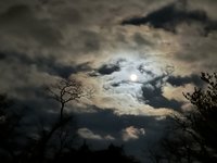 IMG_4869.jpeg