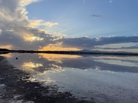IMG_9856.jpeg