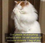 violence.jpg