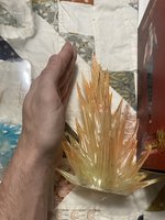 IMG_6821.jpeg
