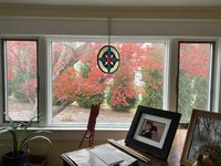 IMG_4889.jpeg