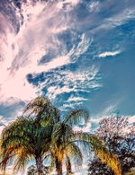 1d31e6cd-6431-4a40-aa4d-0f2199e10f3c.jpg
