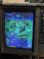 IMG_3730.jpeg
