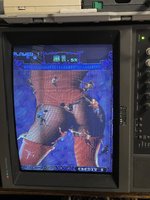IMG_3733.jpeg