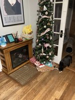 IMG_6950.jpeg