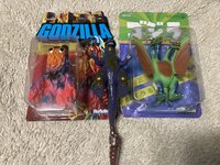 IMG_7028.jpeg