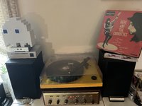 IMG_1309.jpeg