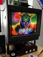 IMG_7965.jpeg