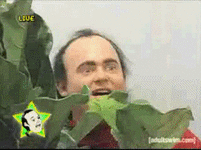 1738896393984.gif