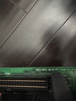 IMG_6695.jpeg