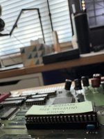 IMG_6701.jpeg