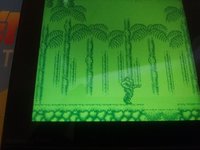 20250222_112856.jpg
