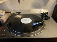 IMG_0890.JPG