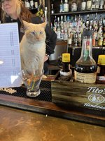 IMG_1750.jpeg