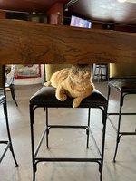 IMG_1751.jpeg