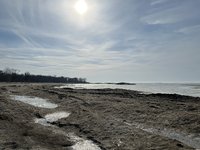 IMG_3382.jpeg