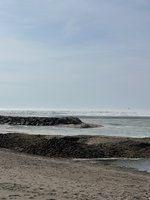 IMG_3381.jpeg