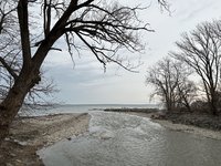 IMG_3435.jpeg