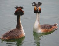 Spring2025-4.jpg